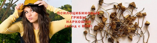 наркотики Алексин