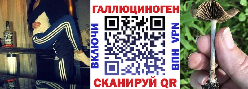 хочу наркоту  Ардатов  Псилоцибиновые грибы MAGIC MUSHROOMS 